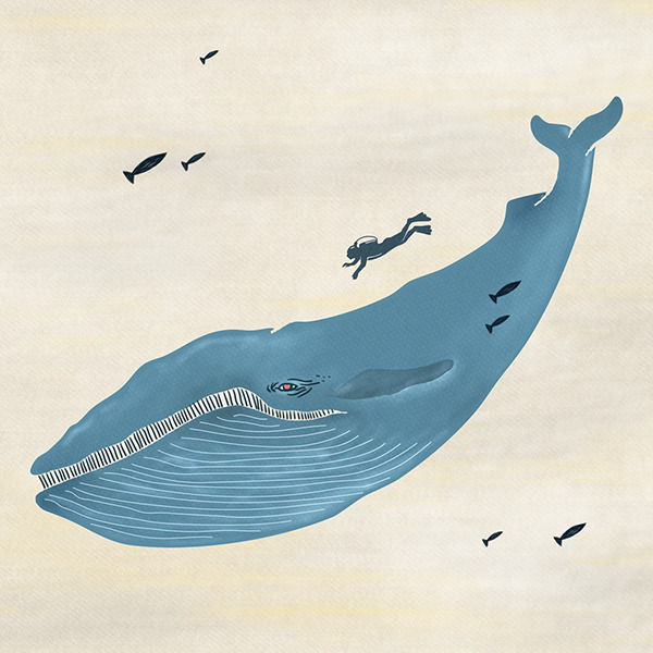 Blue whale with fish and divers.